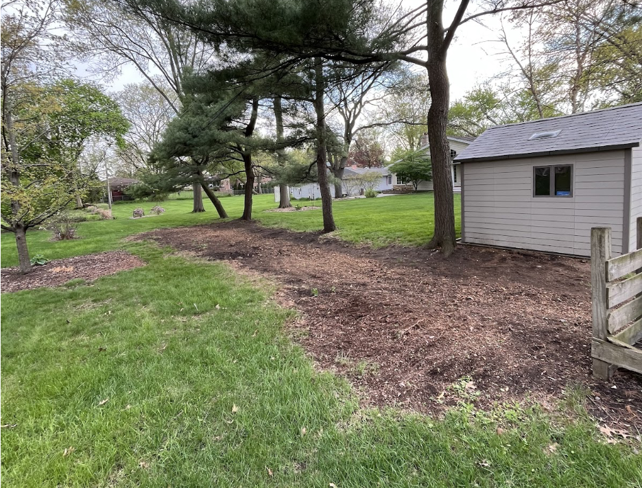 stump removal in the Chicagoland Area4